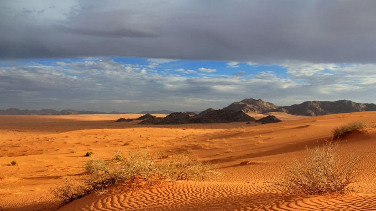 تحويل جزء من صحراء النفود الكبير لمحمية فلكية